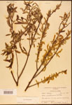 000003308-thumbnail.jpg