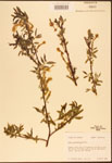 000003309-thumbnail.jpg