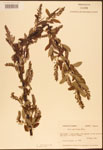 000003314-thumbnail.jpg