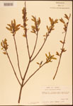 000003315-thumbnail.jpg