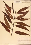000003318-thumbnail.jpg