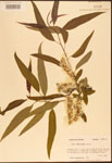 000003319-thumbnail.jpg