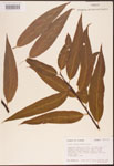 000003321-thumbnail.jpg