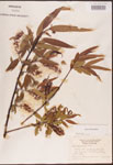 000003323-thumbnail.jpg