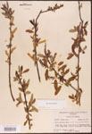 000003327-thumbnail.jpg