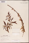 000003328-thumbnail.jpg