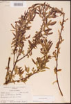 000003332-thumbnail.jpg