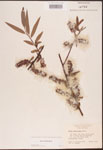 000003335-thumbnail.jpg