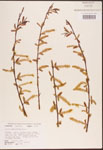000003336-thumbnail.jpg