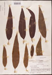 000003342-thumbnail.jpg