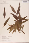 000003345-thumbnail.jpg