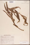 000003352-thumbnail.jpg