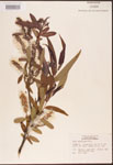 000003354-thumbnail.jpg