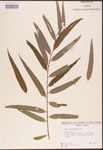 000003355-thumbnail.jpg