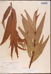 000003358-thumbnail.jpg