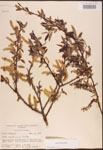 000003359-thumbnail.jpg