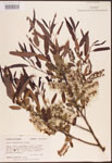 000003360-thumbnail.jpg
