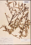 000003393-thumbnail.jpg