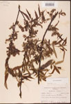 000003394-thumbnail.jpg
