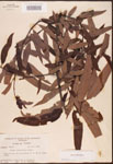 000003397-thumbnail.jpg