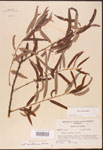000003398-thumbnail.jpg