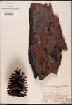 000003432-thumbnail.jpg
