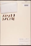 000003436-thumbnail.jpg