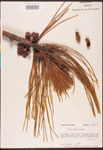 000003438-thumbnail.jpg