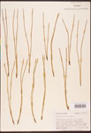 000003441-thumbnail.jpg