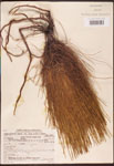 000003443-thumbnail.jpg