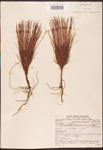 000003444-thumbnail.jpg