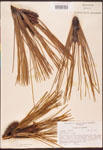 000003446-thumbnail.jpg