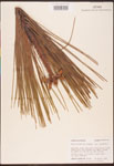 000003450-thumbnail.jpg