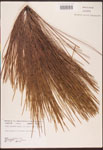 000003454-thumbnail.jpg