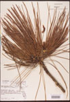 000003455-thumbnail.jpg
