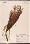 000003456-thumbnail.jpg