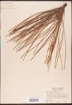 000003457-thumbnail.jpg