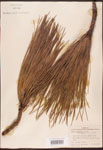 000003458-thumbnail.jpg