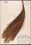000003460-thumbnail.jpg