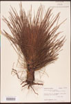 000003464-thumbnail.jpg