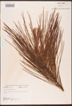 000003466-thumbnail.jpg