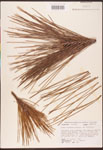000003470-thumbnail.jpg