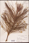000003475-thumbnail.jpg
