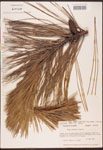 000003476-thumbnail.jpg