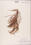 000003480-thumbnail.jpg