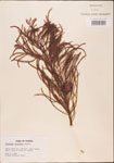 000003483-thumbnail.jpg