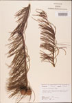 000003485-thumbnail.jpg