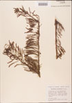 000003488-thumbnail.jpg