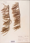 000003490-thumbnail.jpg