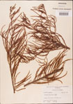 000003496-thumbnail.jpg